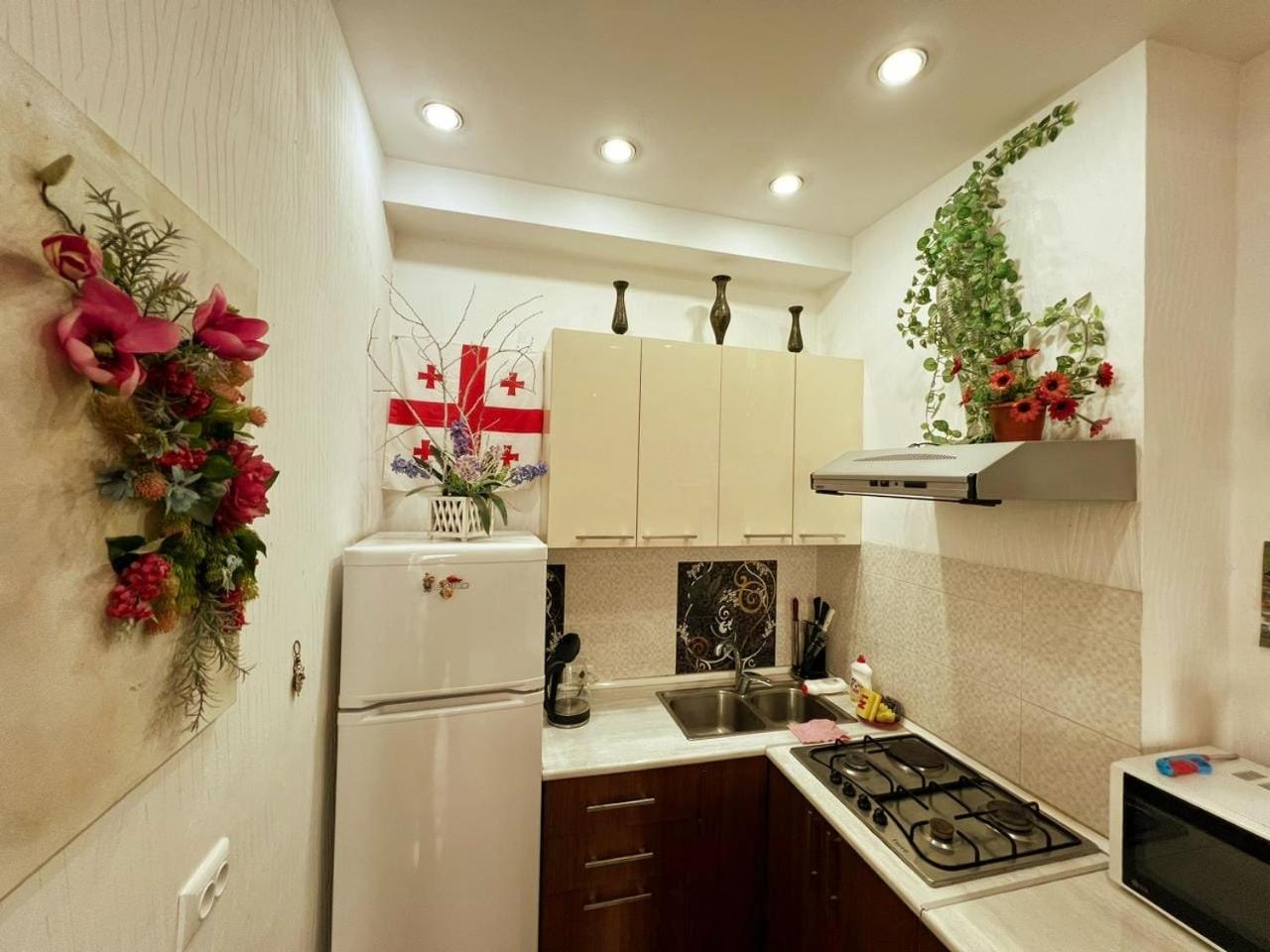 Cozy Apartment In The City Center Mtatsminda Tbilisi Luaran gambar